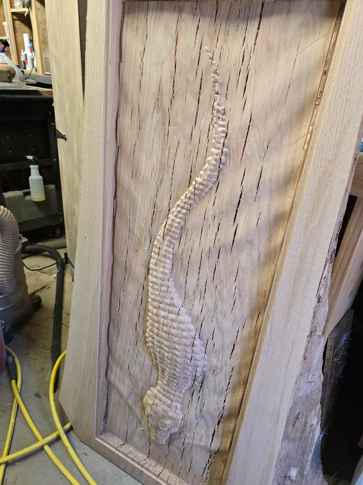 Spine and anatomy CNC wood relief